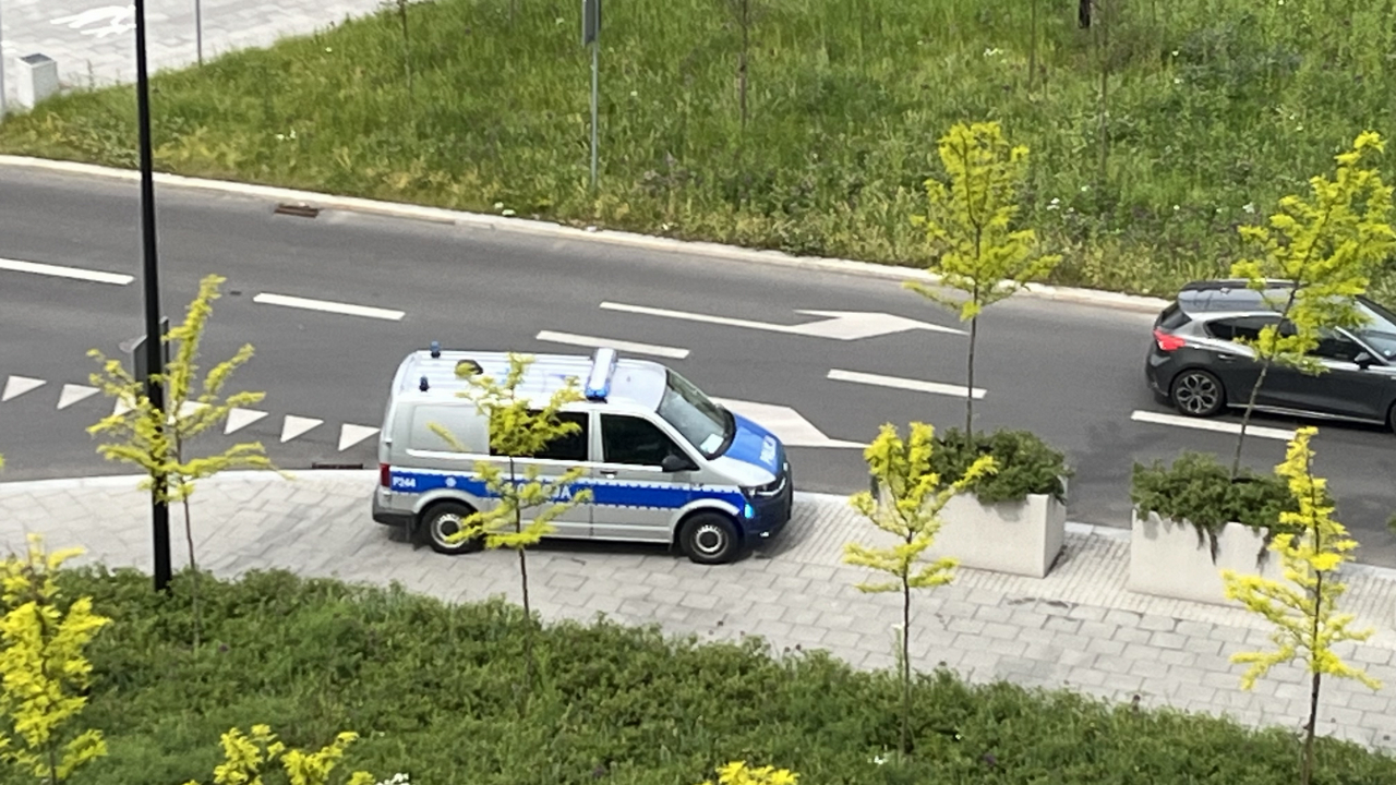 Interwencje policji