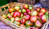 Ocet jabłkowy - kiedy warto go stosować?
